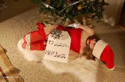 www.jackiebound.com - 1-60 Christmas Gifts Part I thumbnail