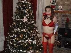 www.jackiebound.com - 1-58  Past Christmas Gifts thumbnail