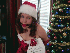 www.jackiebound.com - The Members Gift From Santa thumbnail